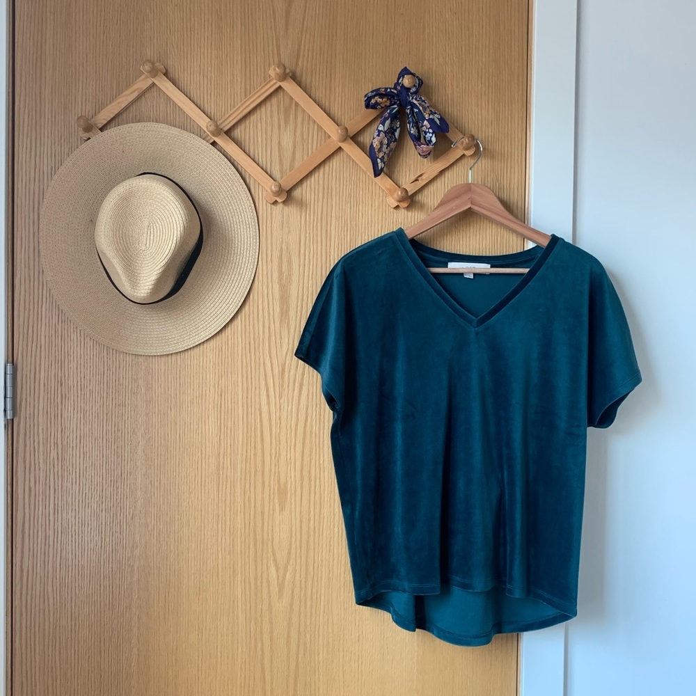 LOFT Velour V Neck Top